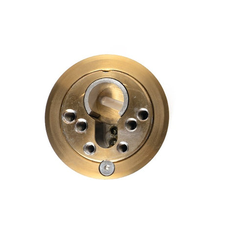ESCUDO DE SEGURIDAD COMPATIBLE CON CERRADURAS EUROPERFIL