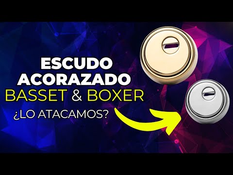 Escudo Acorazado Basset DMC – Acero Inoxidable Ajustable